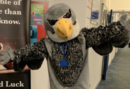 Introducing Kingston College Mascot – Perry!